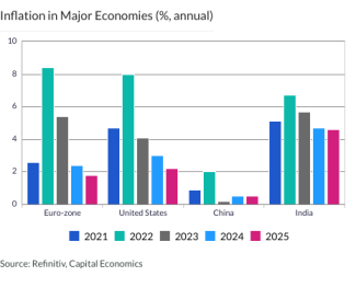 Inflation in Major Economies (%, annual)