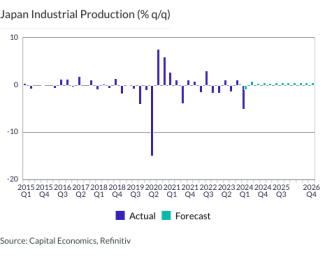 Japan Industrial Production (% q/q)