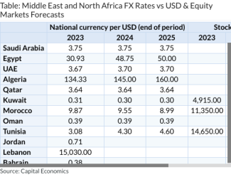 Table: Middle East and North Africa FX Rates vs USD & Equity Markets Forecasts