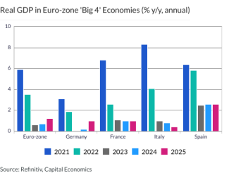 Real GDP in Euro-zone 'Big 4' Economies (% y/y, annual)