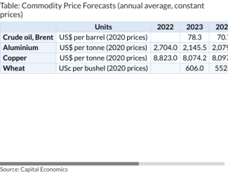 Table: Commodity Price Forecasts (annual average, constant prices)