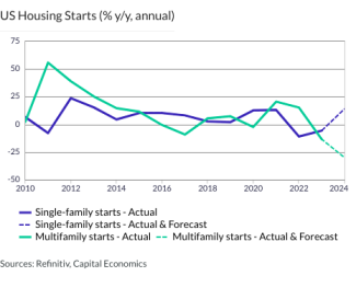 US Housing Starts (% y/y, annual)