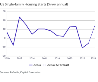 US Single-family Housing Starts (% y/y, annual)