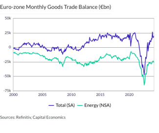 Euro-zone Monthly Goods Trade Balance (€bn)