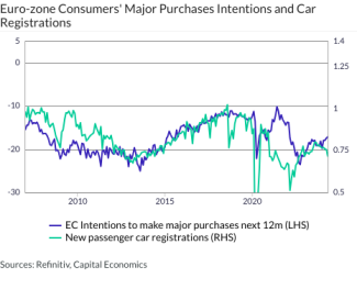 Euro-zone Consumers' Major Purchases Intentions and Car Registrations