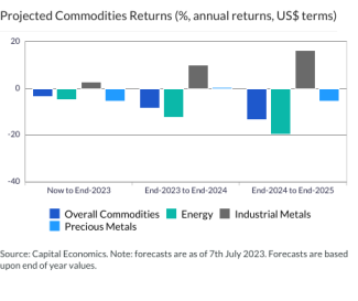 Projected Commodities Returns (%, annual returns, US$ terms)