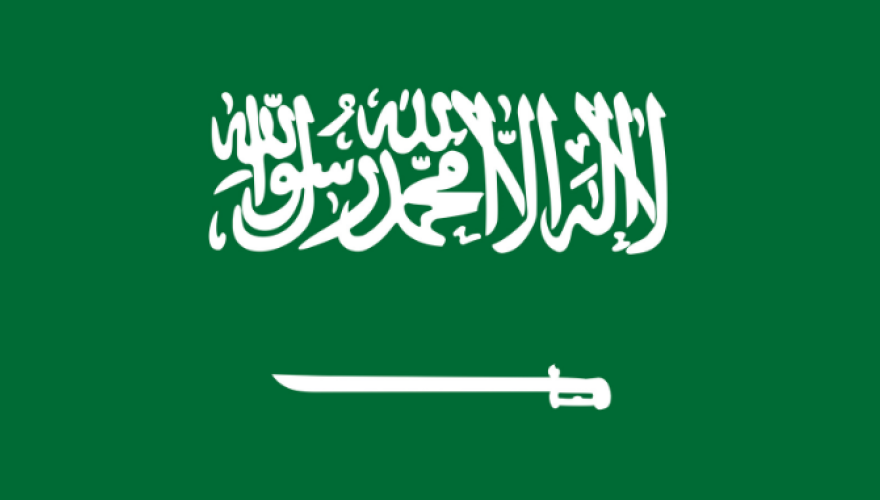 Saudi Arabia GDP (Q1 2024, Flash Estimate)
