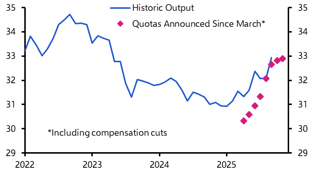 OPEC+ plays it safe; China’s oil stockpiling frenzy continues
